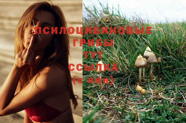 Альфа ПВП Магас