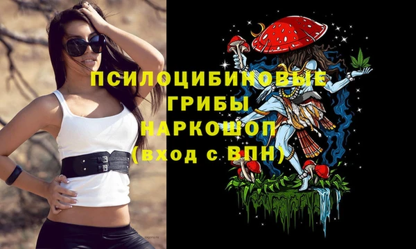 гидропоника Майский