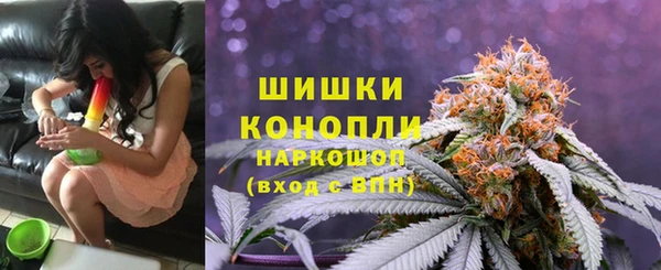 Альфа ПВП Магас
