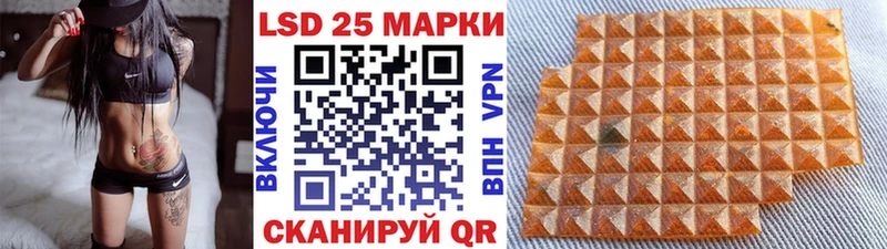 наркота  Котельнич  Марки NBOMe 1,8мг 