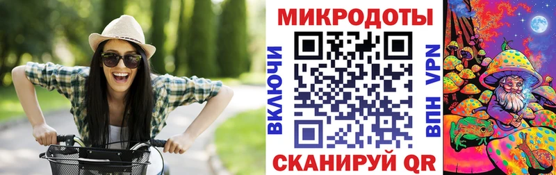 купить наркотик  Котельнич  Галлюциногенные грибы Magic Shrooms 