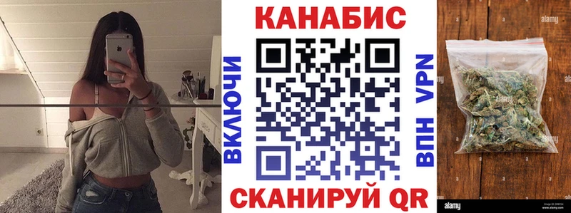 Бошки марихуана сатива  нарко площадка как зайти  Котельнич 